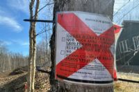 Austin : tensions autour d’un déboisement massif